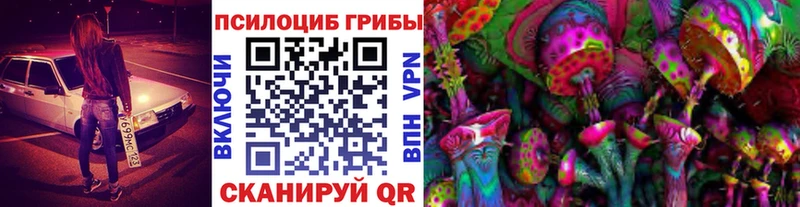 Галлюциногенные грибы Cubensis Тюмень